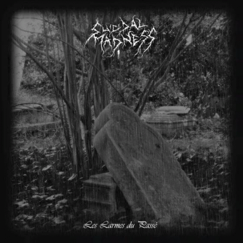  : Les Larmes du Passé